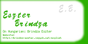 eszter brindza business card